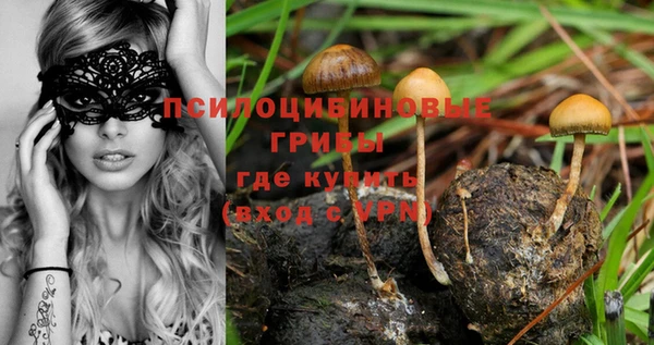 шишки Зерноград