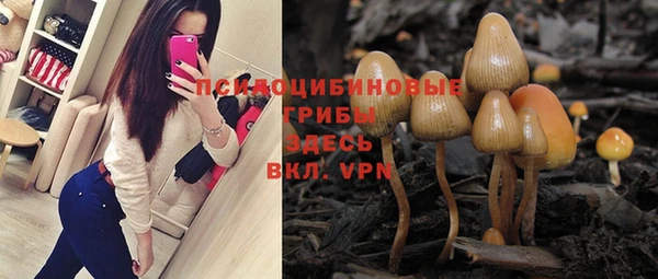 шишки Зерноград